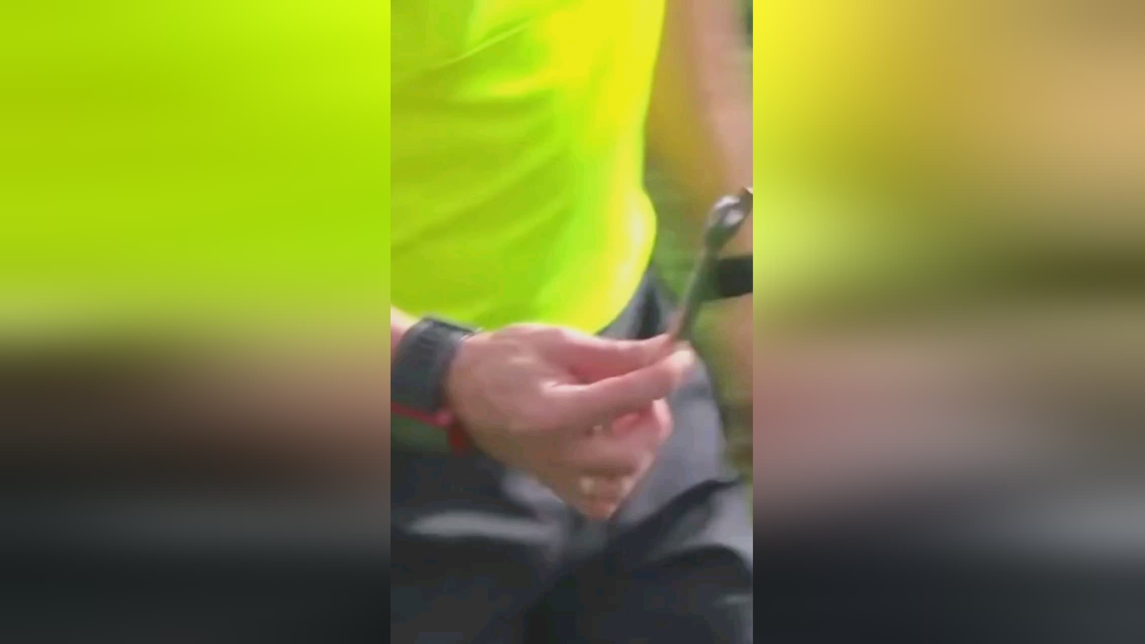 大比